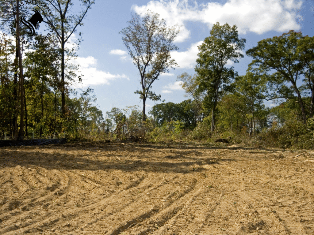 land clearing hays county tx